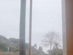 -寻味顺德·顺峰山庄(大良店)