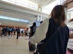 -奥黑尔国际机场