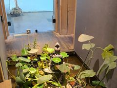 -邈墨茶馆(凤起路店)