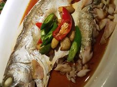 -绿茶餐厅(华联万柳店)