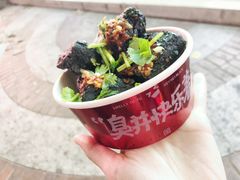 -黑色经典臭豆腐·湖南特产(坡子街店)