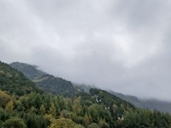 -狮子沟牧场