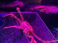 -沈阳海洋探索中心