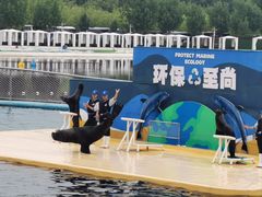 -秦皇岛乐岛海洋王国