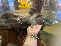 -Zoolung Zoolung动物主题公园(海信广场店)