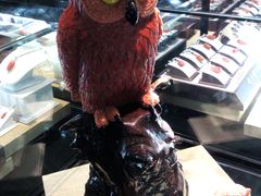 -绮丽珊瑚(台北101旗舰门市店)