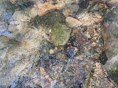 -姚家山旅游风景区