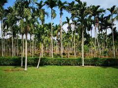 -红色娘子军纪念园