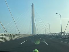 -杭州湾海上花田景区