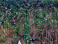 -南丰汇(新港东路店)