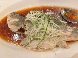 -上海浦东喜来登由由大酒店·宴会厅