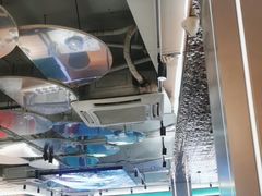 -探窝·竹笙椰子鸡(杨箕店)