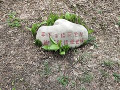 -黑龙江省森林植物园