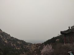 -北京凤凰岭