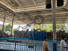 -泉州海丝野生动物世界