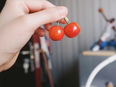 -菜园坝水果市场