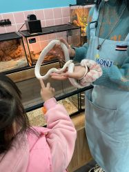 -Moni星球萌宠·小马宝莉·灵蛇·高端高阶全萌宠互动体验俱乐部(红豆国际广场店)