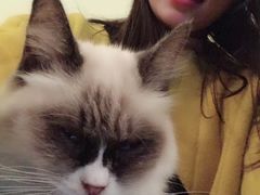 -猫色咖啡·猫咖