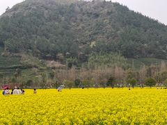 -径山花海