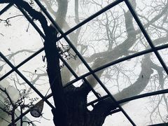 -zarah(鼓楼店)