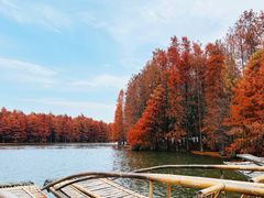 -尚湖风景区