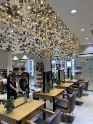 点击看大图 -京世沙龙