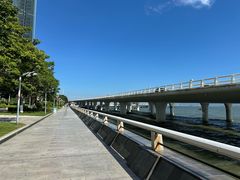 -演武大桥观景平台
