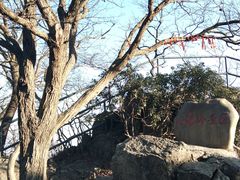 -紫金山山顶公园