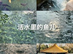 -趵突泉景区