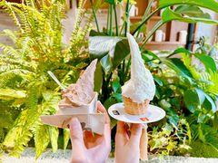 -野人先生Gelato(上海长宁龙之梦店)