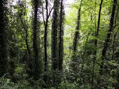 -青城山