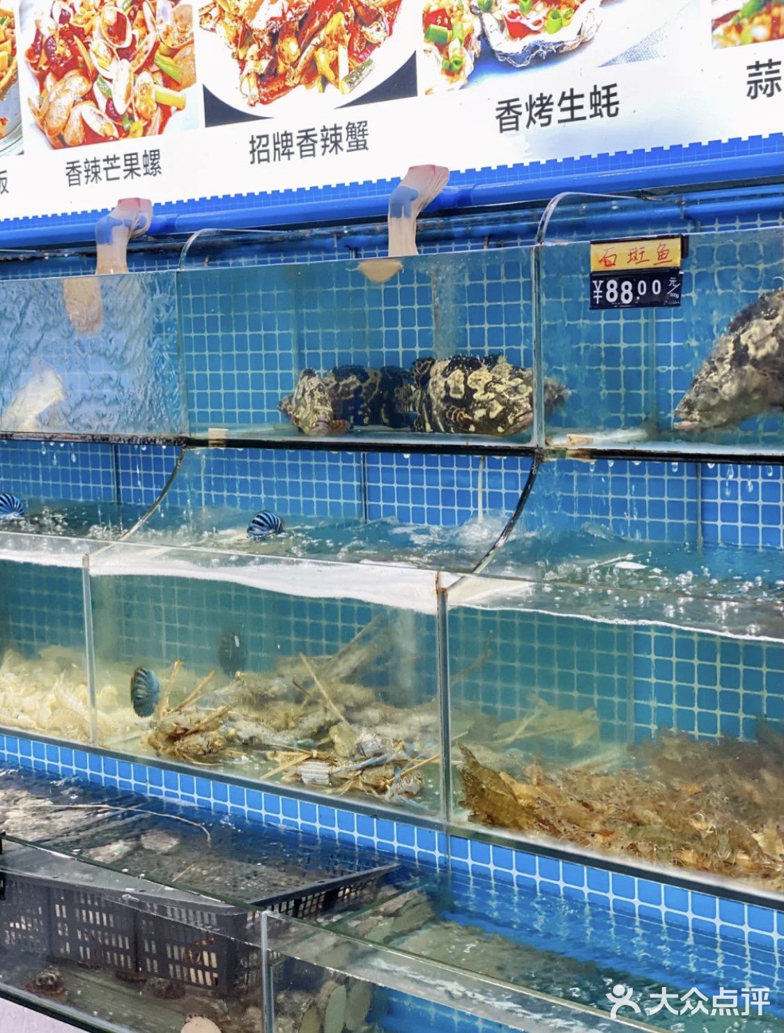 北海旅游｜性价比超高 海鲜超新鲜的海鲜店