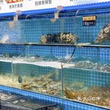 北海旅游｜性价比超高 海鲜超新鲜的海鲜店