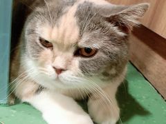 -藦茜花园宠物主题亲子互动体验馆(国顺东路店)