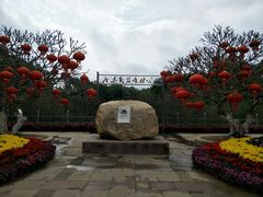 -广东茂名森林公园