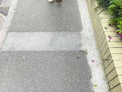 -张记灌饼(丰富路店)