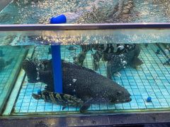 -宝宇大连海鲜渔港(金奎大厦店)