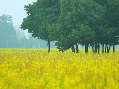 -中国天府农业博览园