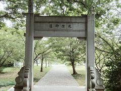 -苏州上方山国家森林公园
