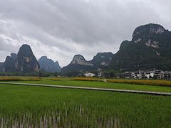 -明仕田园