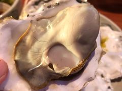 -千岛蚝高压锅生蚝·人参火锅(白云万达店)