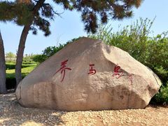 -养马岛旅游度假区