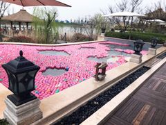 -苏州湾王焰温泉度假酒店