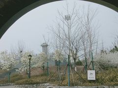 -永定河休闲森林公园