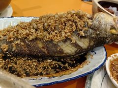 -雅苑餐厅(朝天路店)
