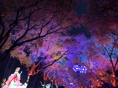 -东湖听涛景区
