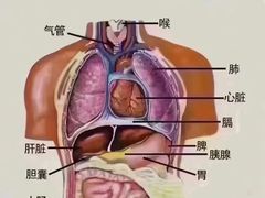 -鹤祥宫·影院足道·SPA连锁(苹果园店)