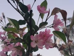 -汉江湾体育公园