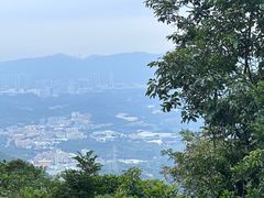 -阳台山森林公园