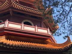 -三水森林公园